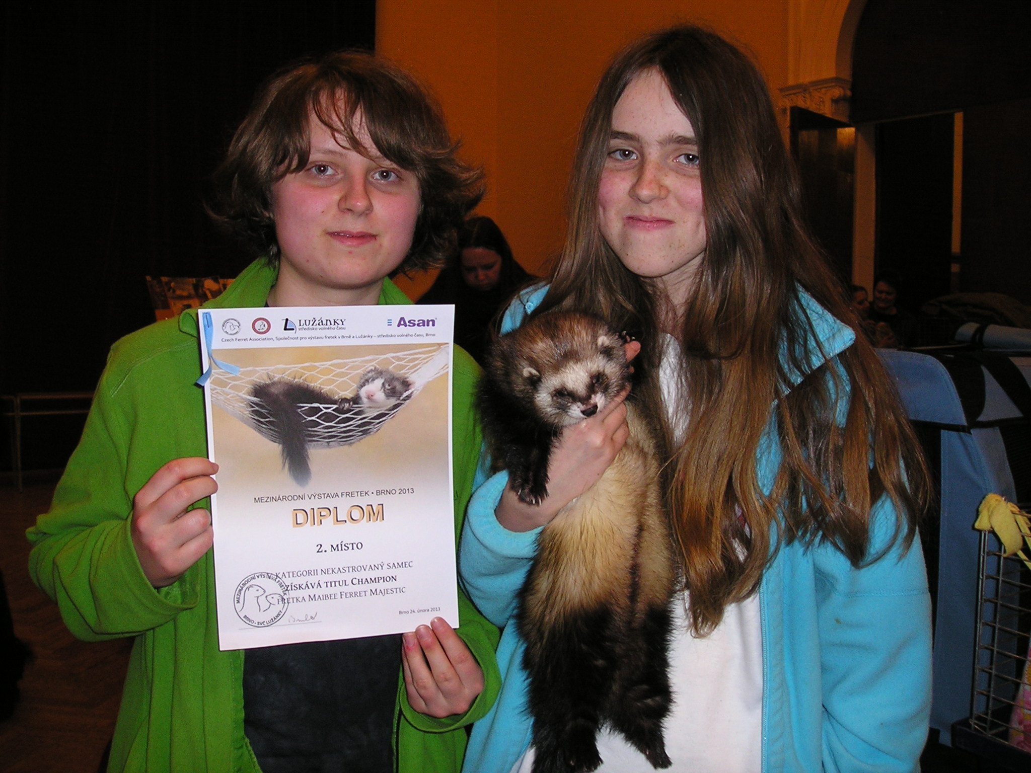 unor-2013-vystava-brno-luzanky