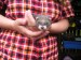 2011-06-10-maibee-4-tydny-a-6-dni