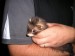 2011-07-doma