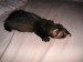 2011-07-doma2