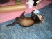 2011-07-hra2