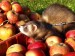 2011-09-podzim