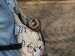 2012-03-dal-se-nesu