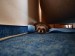 2012-03-doma-pod-kreslem