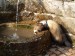 2012-03-na-petrine