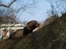 2012-03-na-petrine3
