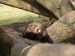 2012-03-na-petrine4