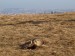 2012-03-prochazka