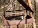 2012-03-ptacek
