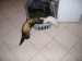 2012-05-navsteva-jane---freta