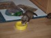 2012-06-miminko-od-bafi