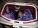 2012-06-sarinka-na-navsteve