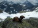 2012-07-maibee-na-horach