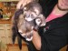 2012-11-cast-komanda-z-plzne